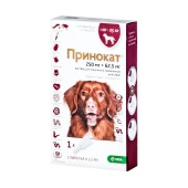Принокат капли для собак 10 - 25 кг, 250/62,5 мг, 1 пипетка 2,5 мл