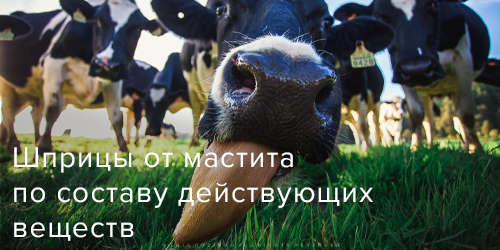Шприцы от мастита по составу действующих веществ.