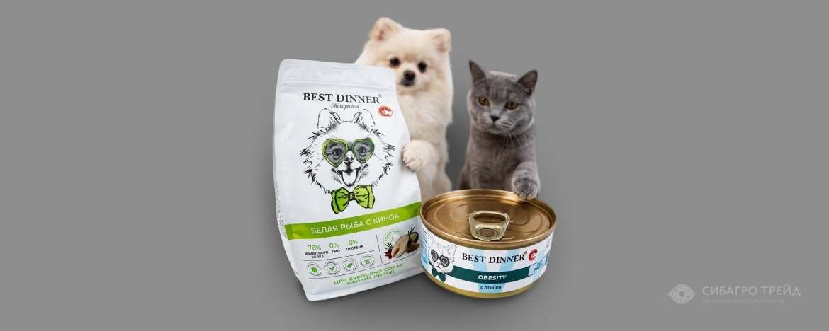 Промо по Best Dinner в сентябре Промо по Best Dinner в сентябре