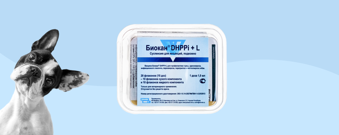 Оценка эффективности вакцины Биокан DHPPI+L Оценка эффективности вакцины Биокан DHPPI+L