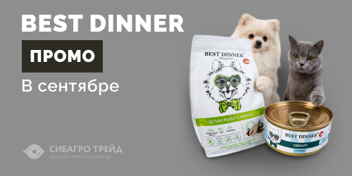 Промо по Best Dinner в сентябре
