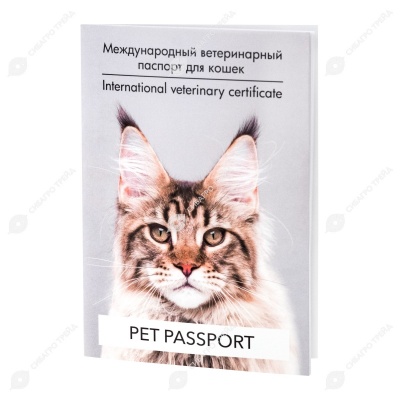 Паспорт ветеринарный для кошек
